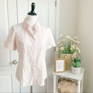 Ann Taylor Pale Pink Pinstripe Button-Up Blouse